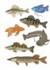 Аквариумные и пресноводные рыбы. Дидактический материал по лексической теме